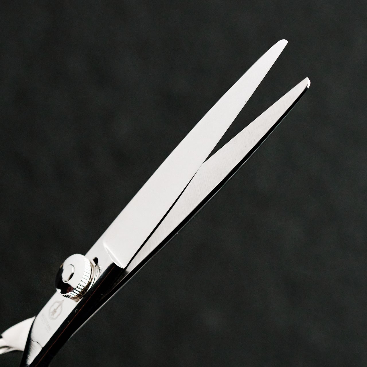 Mizutani | ShearsbyJack